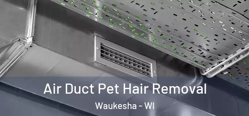  Air Duct Pet Hair Removal Waukesha - WI