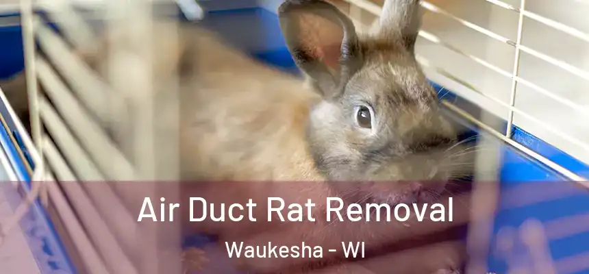 Air Duct Rat Removal Waukesha - WI