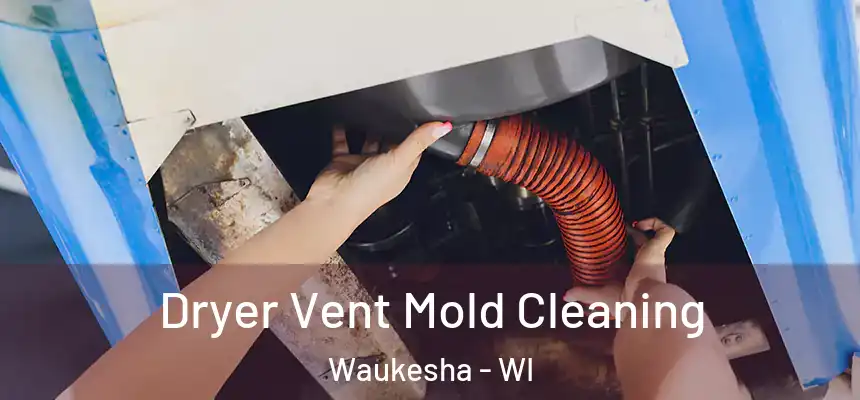 Dryer Vent Mold Cleaning Waukesha - WI