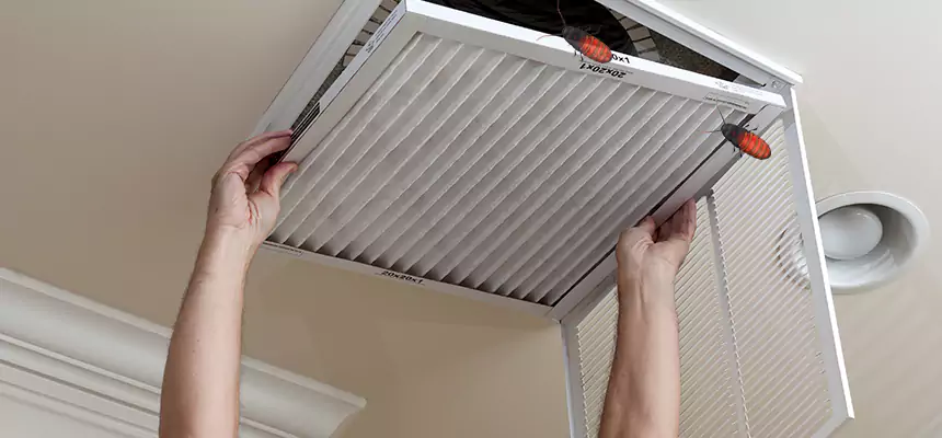 Preventive Cockroach-Proofing for Ducts in Waukesha