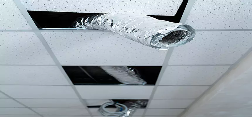 Affordable HVAC Sanitizing After Pest Removal in Waukesha