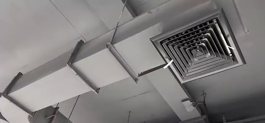 Restorative Allergy Relief Vent Cleaning – Coil, Blower & Housing Detail in Waukesha