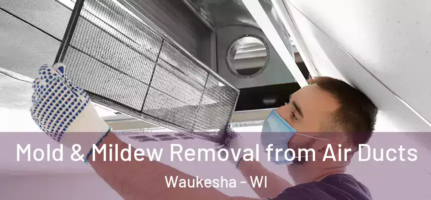 Mold & Mildew Removal from Air Ducts Waukesha - WI