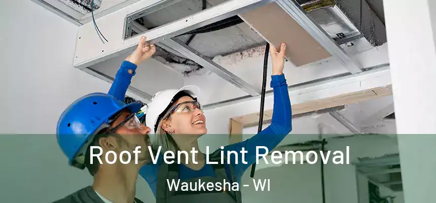  Roof Vent Lint Removal Waukesha - WI