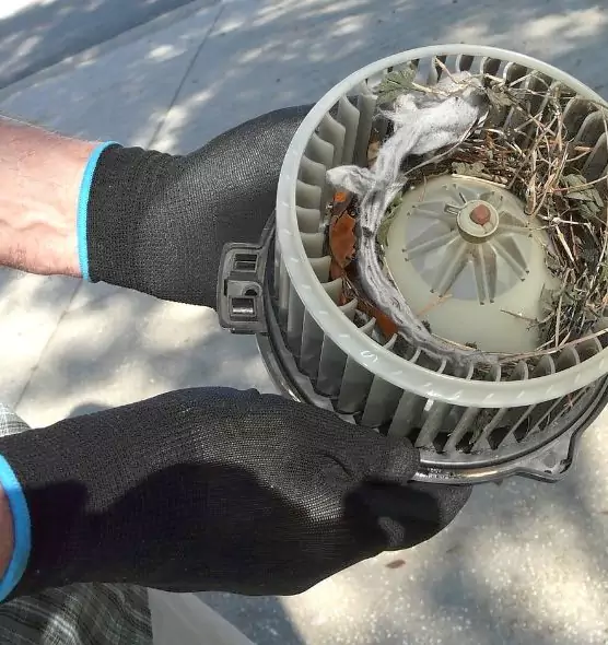 About Air Duct Rat Removal in Waukesha, WI