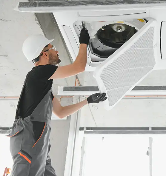 About Air Duct Rodent Removal in Waukesha, WI