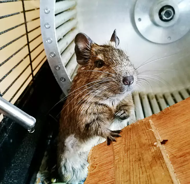 Why Homeowners & Businesses Trust Us Waukesha, WI?